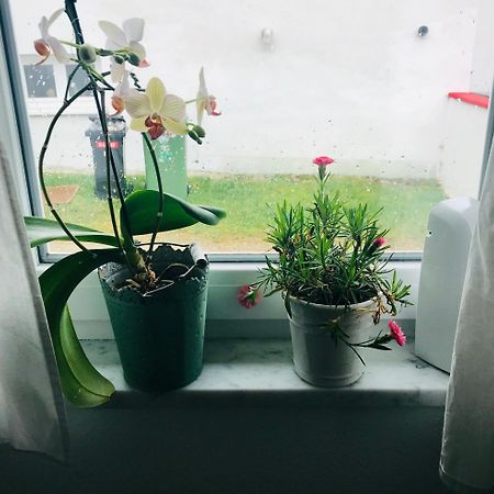 La Toskana Apartment Ihr Rueckzugsort Am Regen Zeitlarn Bagian luar foto